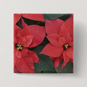 Badge Carré 5 Cm Poinsettia rouge détail (Euphorbia pulcherrima)