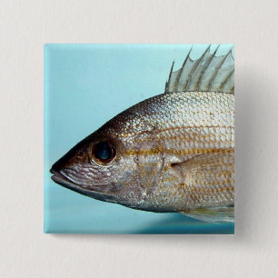 Badge Carré 5 Cm Poissons de grognement