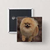 Badge Carré 5 Cm Pomeranian (Devant & derrière)