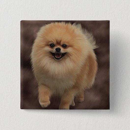 Badge Carré 5 Cm Pomeranian (Devant)