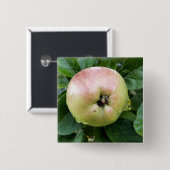 BADGE CARRÉ 5 CM POMME (Devant & derrière)