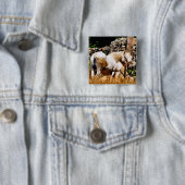 BADGE CARRÉ 5 CM PONIES (En situation)
