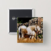 BADGE CARRÉ 5 CM PONIES (Devant & derrière)