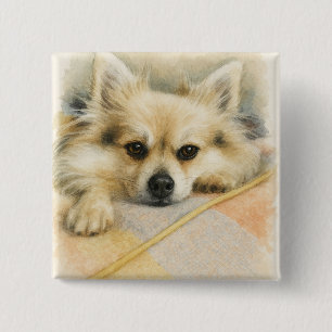 Badge Carré 5 Cm Portrait de chien Chihuahua Pomeranian à l'aquarel