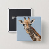 Badge Carré 5 Cm Portrait de la Girafe angolaise (Devant & derrière)