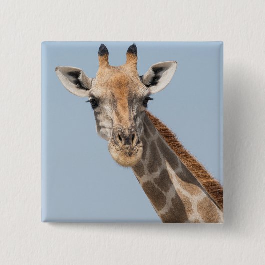 Badge Carré 5 Cm Portrait de la Girafe angolaise (Devant)