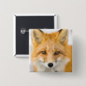 Badge Carré 5 Cm Portrait de renard roux (Devant & derrière)
