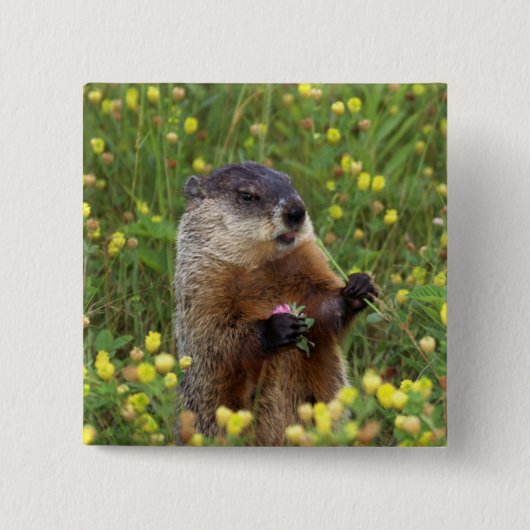 Badge Carré 5 Cm Pose de porc (Devant)