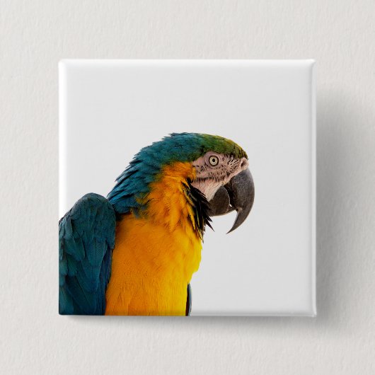 Badge Carré 5 Cm Post-it Notes perroquet (Devant)