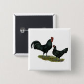 Badge Carré 5 Cm Poulets Augsburger (Devant & derrière)