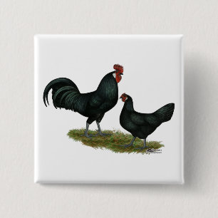 Badge Carré 5 Cm Poulets Augsburger