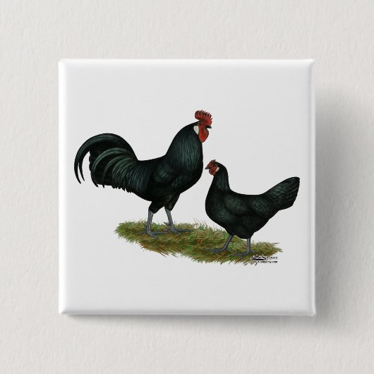 Badge Carré 5 Cm Poulets Augsburger (Devant)