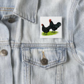 Badge Carré 5 Cm Poulets noirs d'Australorp (En situation)