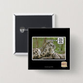 Badge Carré 5 Cm Pourquoi les chiens trouvent-ils ceci si difficile (Devant & derrière)