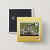 Badge Carré 5 Cm Pourquoi les chiens trouvent-ils ceci si difficile (Devant & derrière)