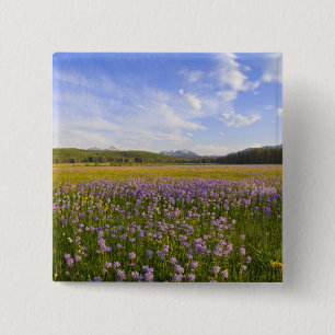 Badge Carré 5 Cm Prairie de fleurs sauvages de penstemon dans les 2