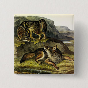 Badge Carré 5 Cm Prairie Wolf