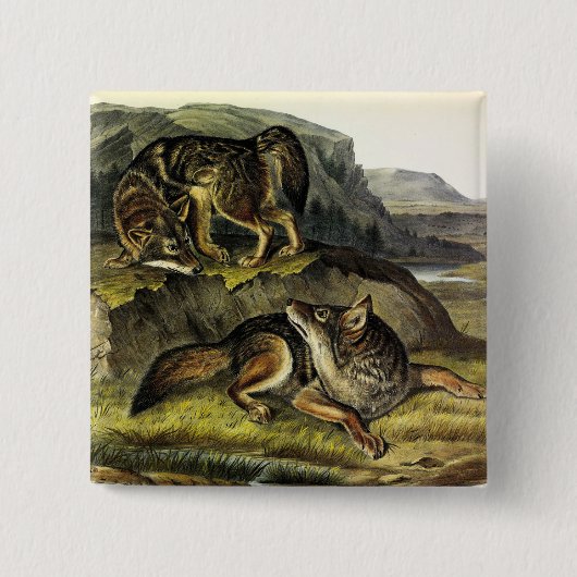 Badge Carré 5 Cm Prairie Wolf (Devant)