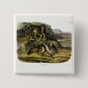 Badge Carré 5 Cm Prairie Wolf