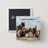 Badge Carré 5 Cm Printemps - Renard arctique (Devant & derrière)