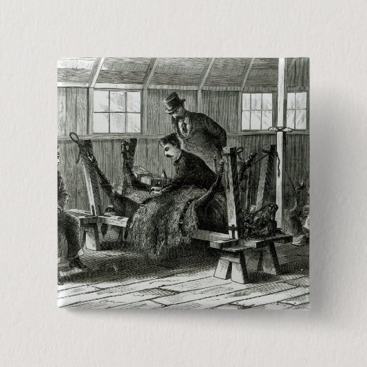 Badge Carré 5 Cm Prise du virus du veau (Devant)