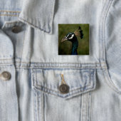 Badge Carré 5 Cm Profil de Peacock (En situation)