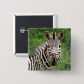 Badge Carré 5 Cm Profil Zebra (Devant & derrière)