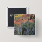 Badge Carré 5 Cm Provo (Devant & derrière)