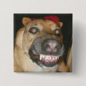 Badge Carré 5 Cm Psycho berger allemand chien effrayant mal (Devant)