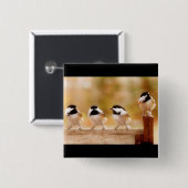 Badge Carré 5 Cm Quatre petits chickadees (Devant & derrière)