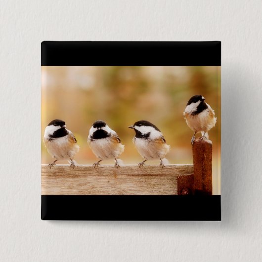 Badge Carré 5 Cm Quatre petits chickadees (Devant)
