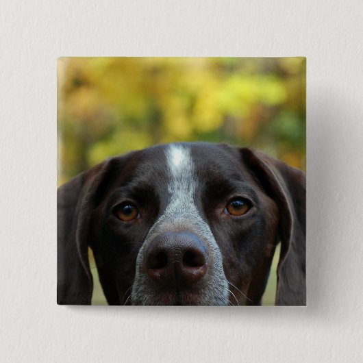 Badge Carré 5 Cm Qui chien de Dat ? (Devant)
