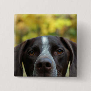 Badge Carré 5 Cm Qui chien de Dat ?