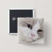 Badge Carré 5 Cm Ragdoll (Devant & derrière)