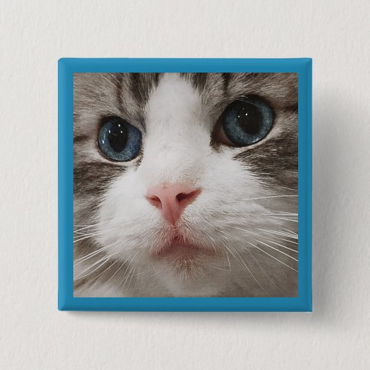 Badge Carré 5 Cm Ragdoll Kitty (Devant)