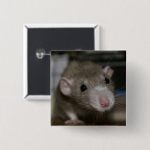 Badge Carré 5 Cm Rat curieux (Devant & derrière)