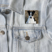 Badge Carré 5 Cm Rat Terrier (En situation)