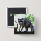 Badge Carré 5 Cm Raton laveur et boîte à biscuits (Devant & derrière)