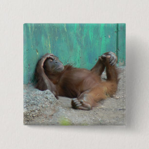 Badge Carré 5 Cm Repos d'orangutang de bébé