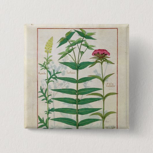 Badge Carré 5 Cm Reseda, euphorbe et oeillet (Devant)