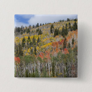 Badge Carré 5 Cm Rivière Provo et trembles