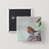 Badge Carré 5 Cm Robin (Devant & derrière)