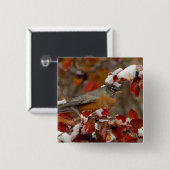 Badge Carré 5 Cm Robin américain masculin à Hawthorn noir (Devant & derrière)