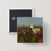 Badge Carré 5 Cm Roe dans un bouton de prairie (Devant & derrière)