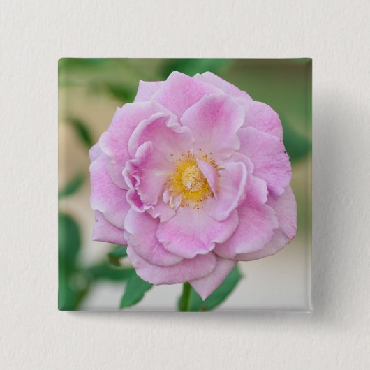 Badge Carré 5 Cm Rose (Devant)