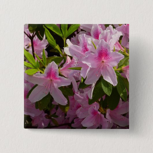 Badge Carré 5 Cm Rose Azalea Bush printemps floral (Devant)