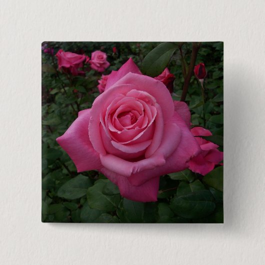 Badge Carré 5 Cm Rose rose (Devant)