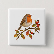 Rouge-gorge joyeux aux cynorhodons et feuilles d'a