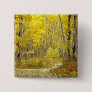 Badge Carré 5 Cm Route avec couleurs d'automne et trembles à Kebler