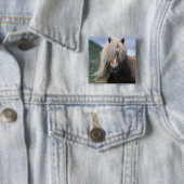 Badge Carré 5 Cm Royaume-Uni, Ecosse, Shetland Islands, Shetland po (En situation)